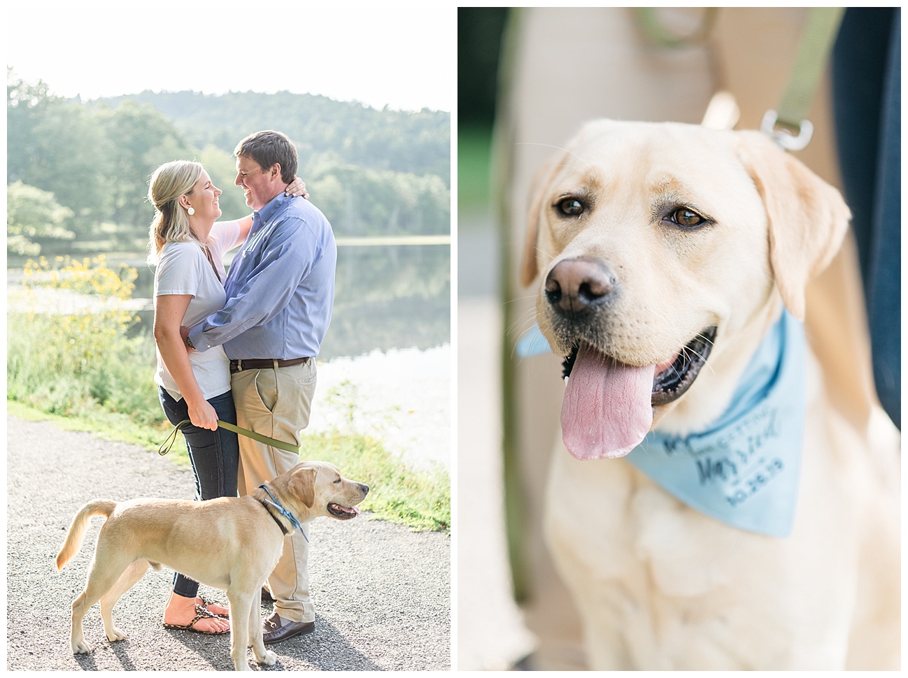 engagement session with dog boone nc