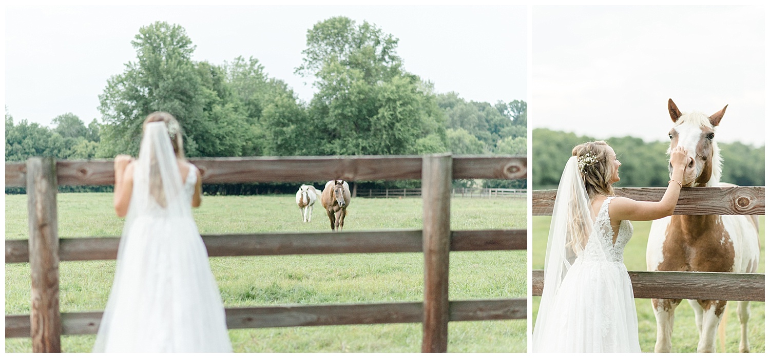 horses in bridal session nc