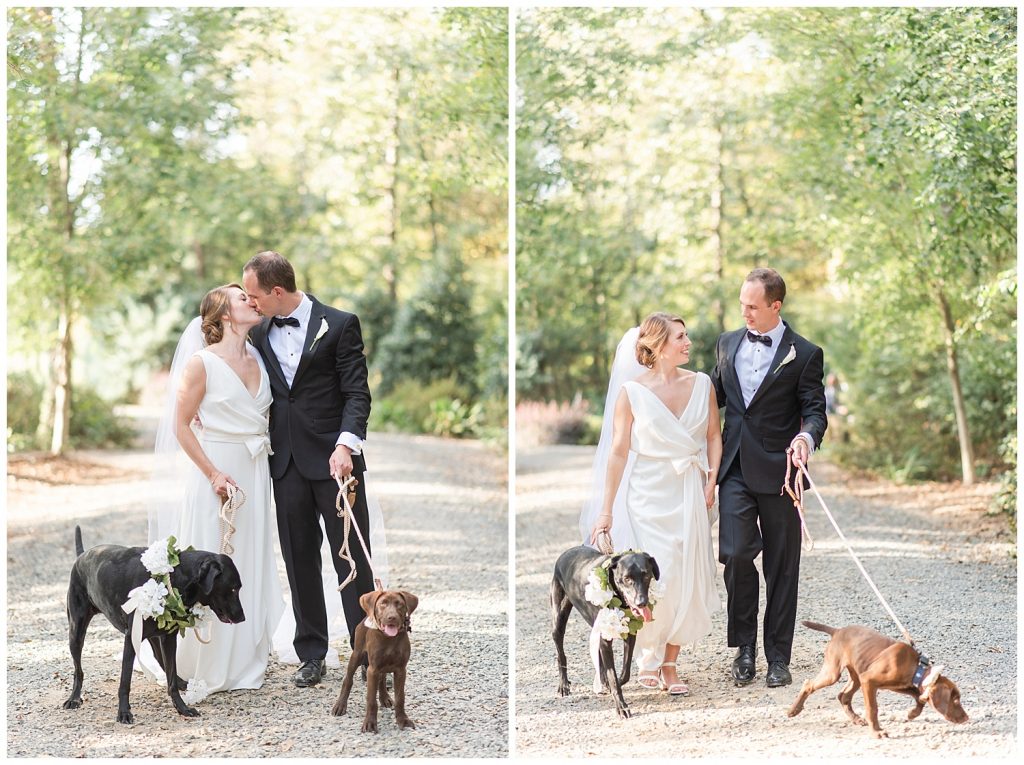bride groom portraits with dogs