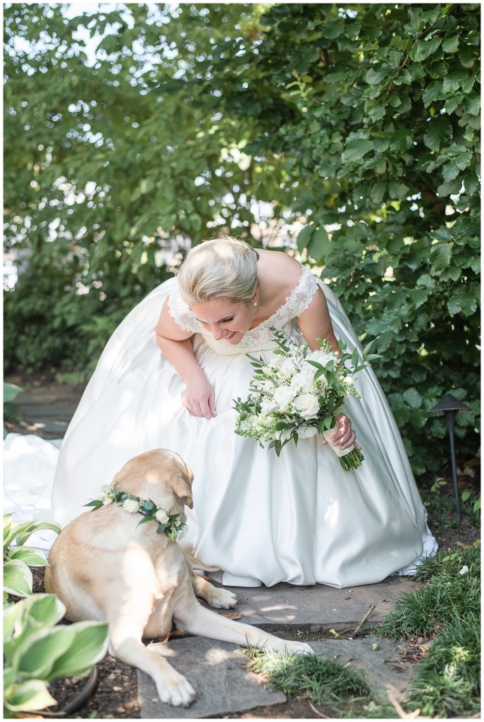 bridal portraits with dog